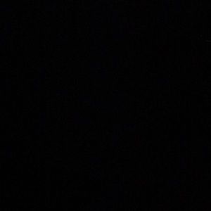 Meet your Posher, Kyra